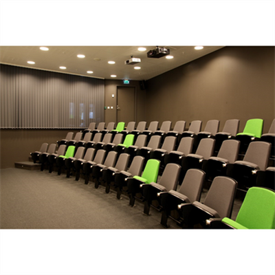 Auditorium Chairs