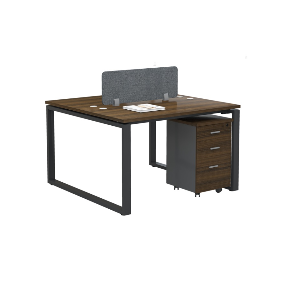 Ergo Workstation Cluster of 2 face-to-face