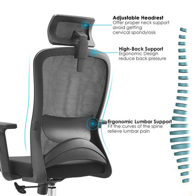 Ergonomic Lumbar Support